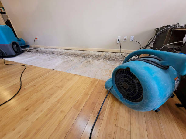 Professional Flood Damage Cleanup technician working in Jermyn, PA